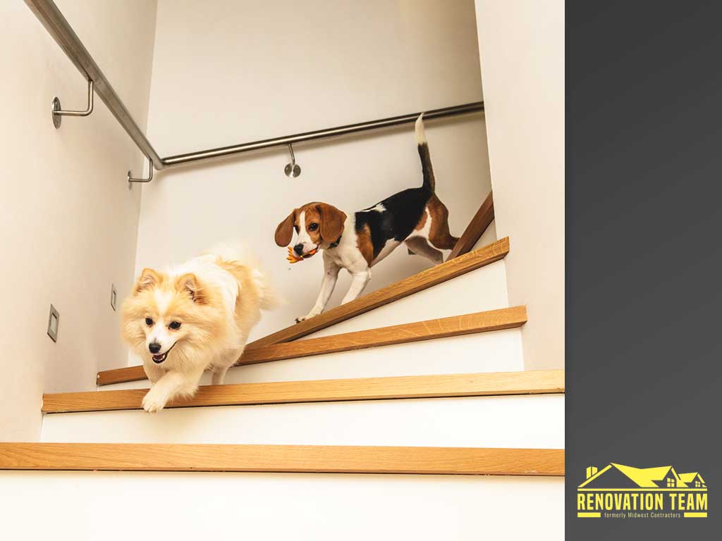 Making Your Home Safer for You and Your Pet