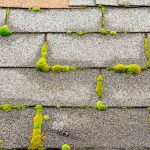 Understanding How Humidity Impacts Your Roof