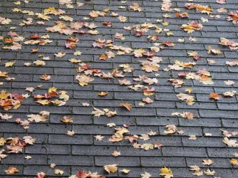 Roof Damage: A Look at the Top 5 Culprits